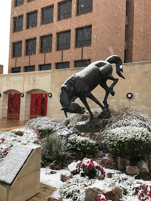 Bronco Statue in Snow
