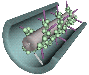 PLASMODESMATA